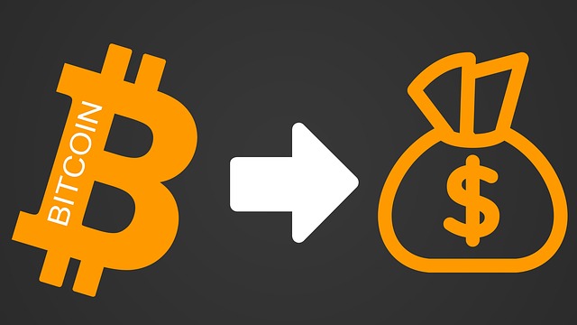 Why Invest in Dash?